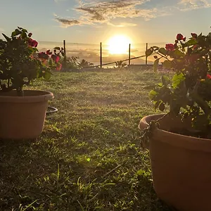 Airport Garden Fa'a'ā